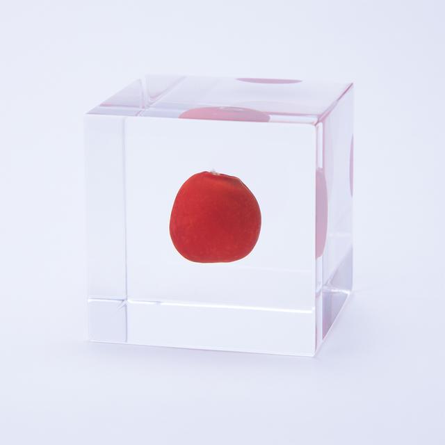 Wairuro Sola cube