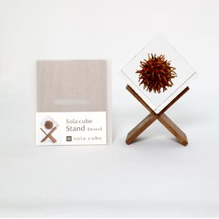 Sola cube stand (brown/white)　ディスプレイ用スタンド　Sola cube