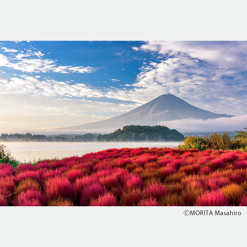 [Backorder] BIG BOOK Mount Fuji