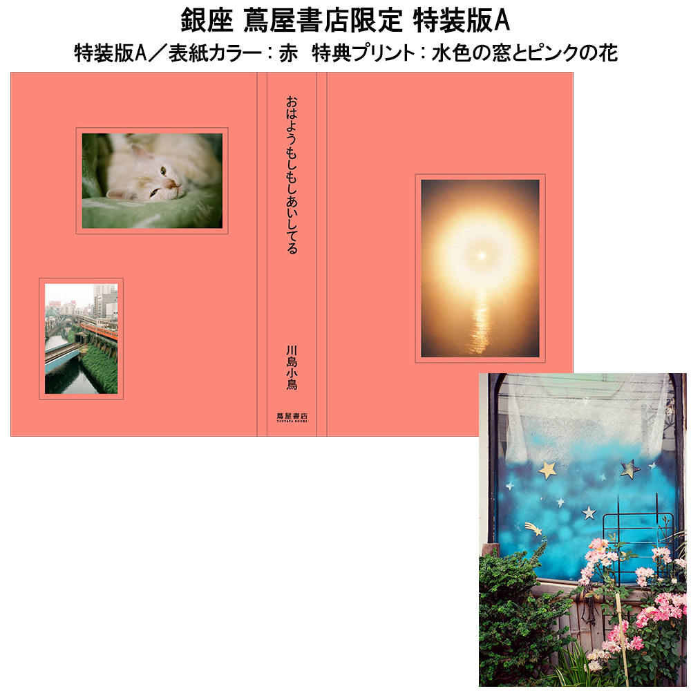 [Special edition / Signed / GINZA TSUTAYA BOOKS exclusive] Good morning, hello, I love you - Kawashima Kotori Art Collection