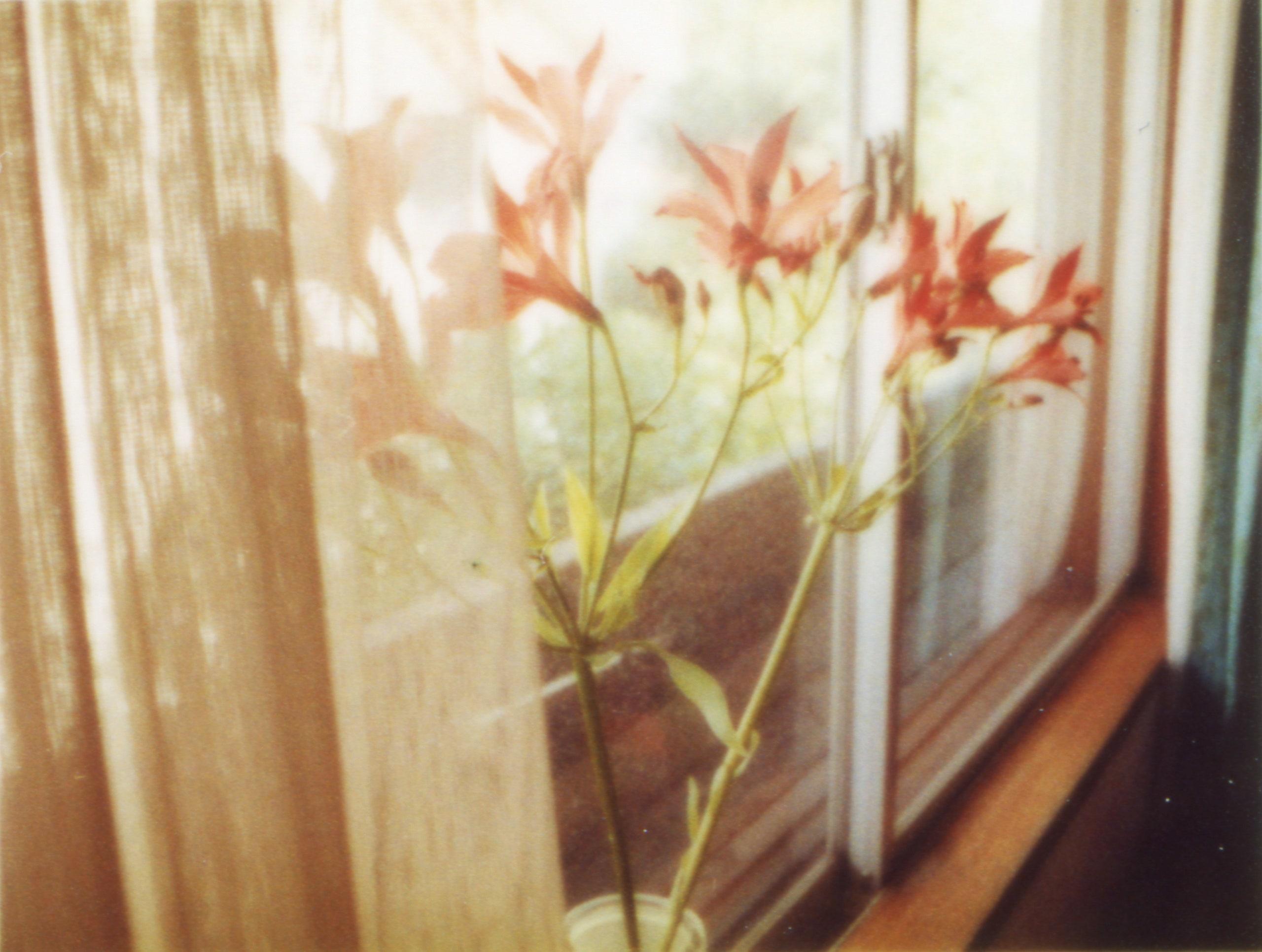 Yoshiyuki Okuyama Photo Collection &quot;Flowers&quot;