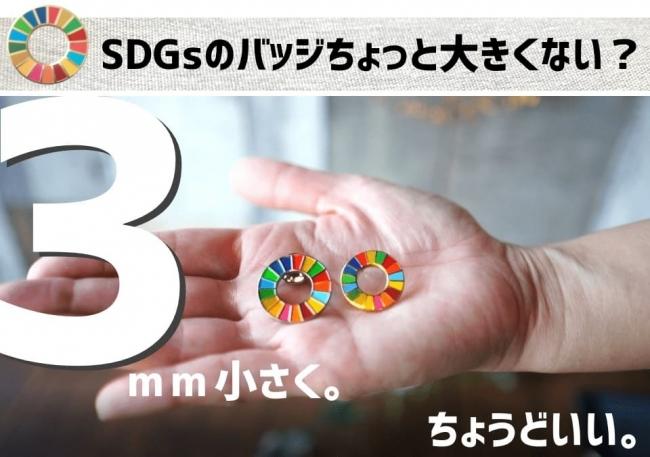 【公式】SDGs　ピンバッジ