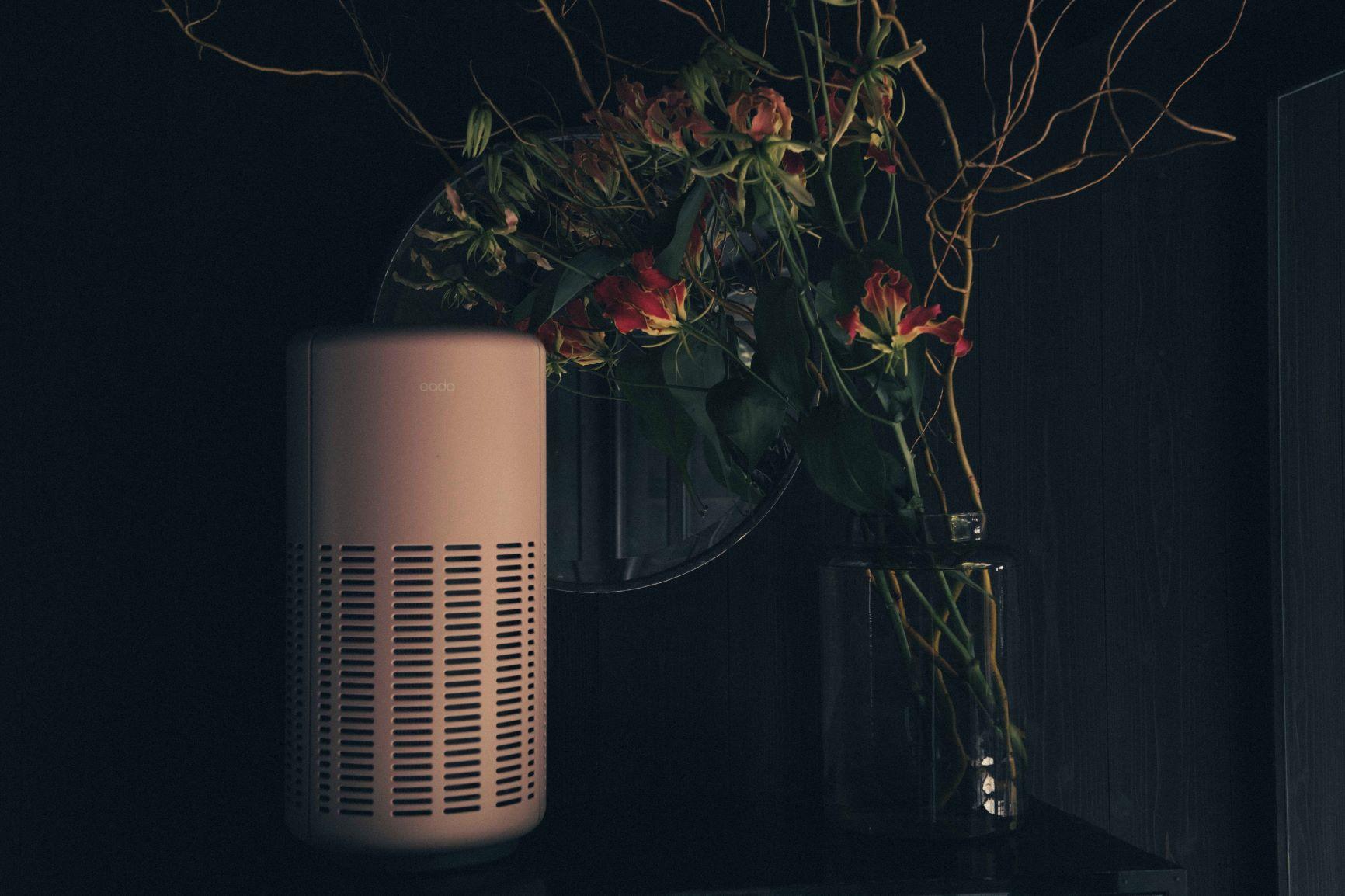 [Limited Edition Bonus Included] <Limited Edition Color> cado Air Purifier LEAF250 Taupe