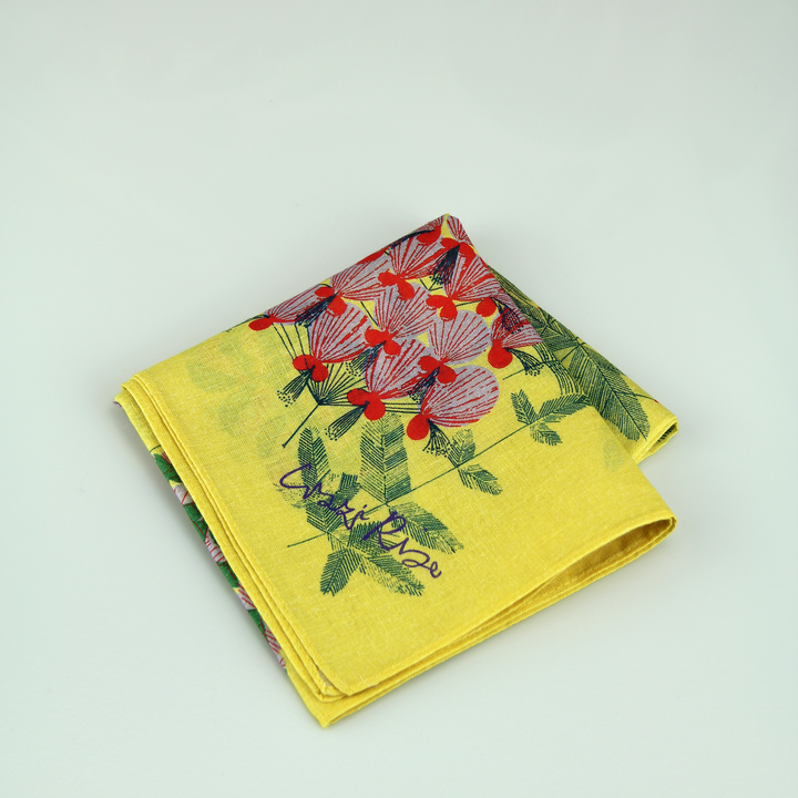 Mysterious Handkerchief by Ueno Richie