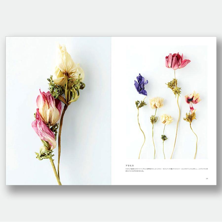 Dried Flowers Picture Book