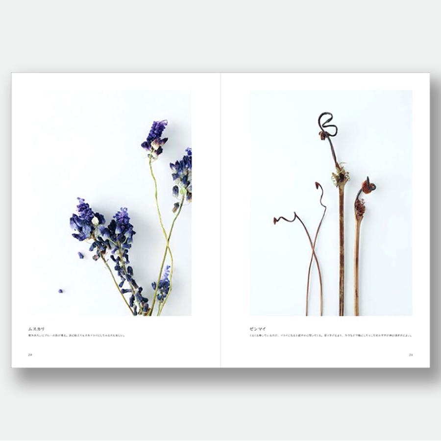 Dried Flowers Picture Book