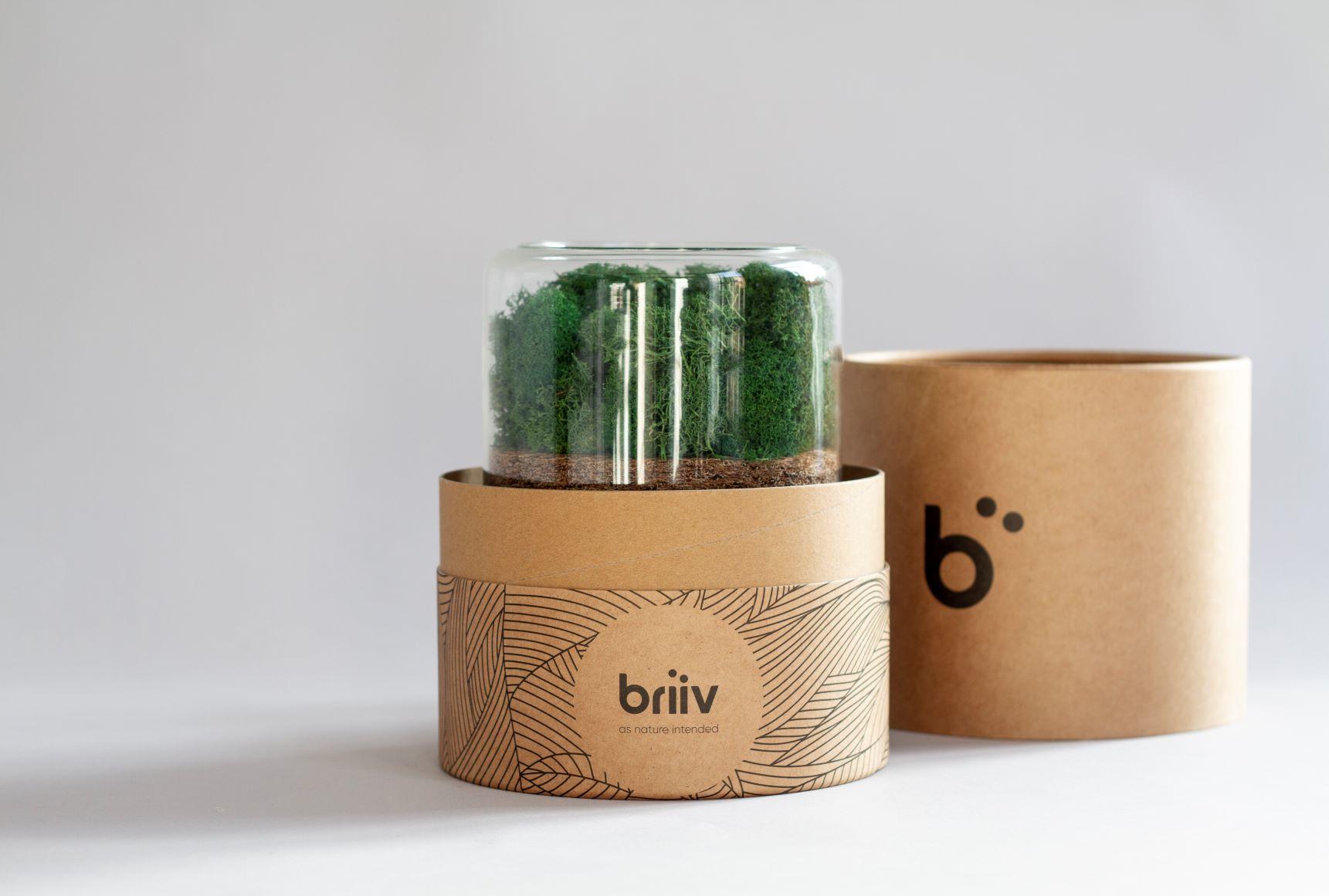 Briiv Air Purifier