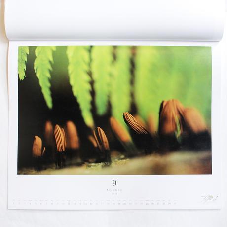 Resonance - Resonating Landscapes - 2023 Calendar