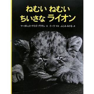 『ねむい ねむい ちいさなライオン』マーガレット・ワイズ ブラウン /著,   イーラ /写真,    ふしみ みさを /翻訳 （徳間書店 ）