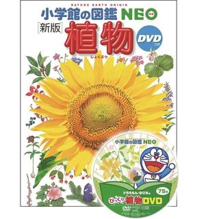 『小学館の図鑑NEO〔新版〕　植物　ＤＶＤつき』 監・文／門田裕一、他