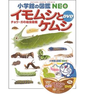 『小学館の図鑑NEO イモムシとケムシ DVDつき』 執筆・写真・幼虫飼育/鈴木知之 他