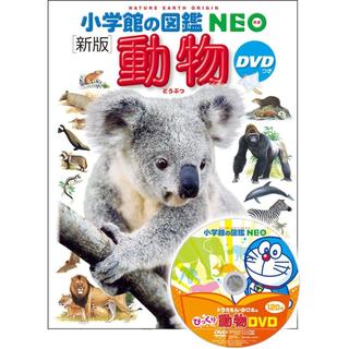 『小学館の図鑑NEO〔新版〕　動物  ＤＶＤつき』指導・執筆／三浦慎悟、成島悦雄　他