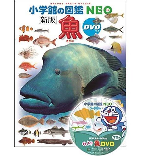 『小学館の図鑑NEO〔新版〕 魚  DVDつき』監/井田 齊 監、松浦啓一  写真/松沢陽士