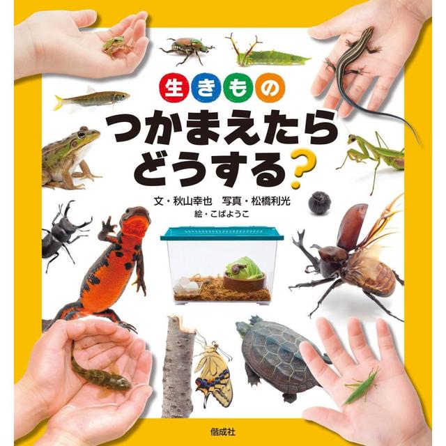 『生きもの つかまえたら どうする?』 秋山幸也 (偕成社)