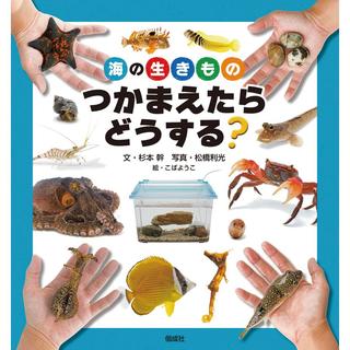 『海の生きもの つかまえたらどうする？』杉本 幹  (偕成社)