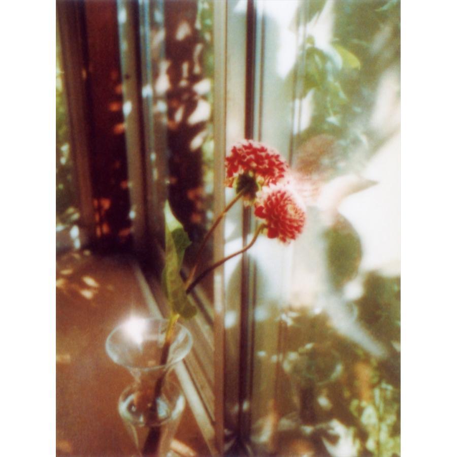 [5x points] Yoshiyuki Okuyama &quot;flowers&quot;