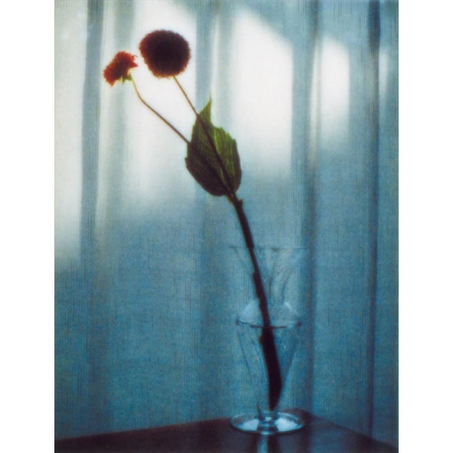 [5x points] Yoshiyuki Okuyama &quot;flowers&quot;