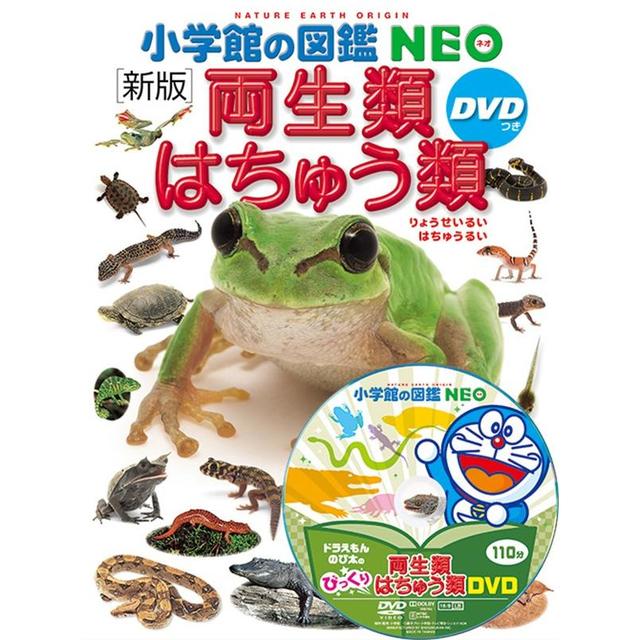 Shogakukan&#39;s Illustrated Encyclopedia NEO [New Edition] Amphibians and Reptiles with DVD