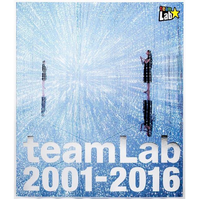 [TeamLab Catalog] teamLab 2001-2016 English version