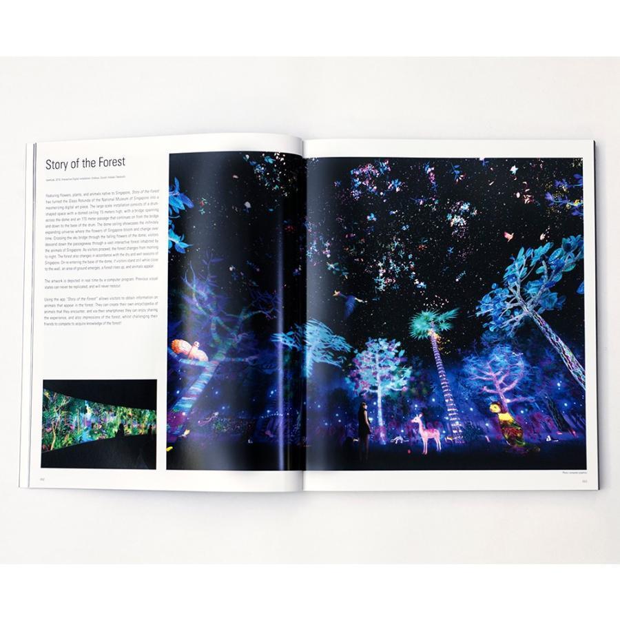 [TeamLab Catalog] teamLab 2001-2016 English version