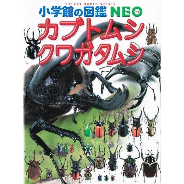 Shogakukan&#39;s Illustrated Encyclopedia NEO: Rhinoceros Beetles and Stag Beetles