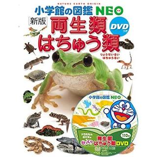 小学館の図鑑 NEO　新版 両生類・はちゅう類　DVD付