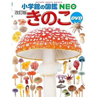 小学館の図鑑 NEO【改訂版】きのこ　DVD付