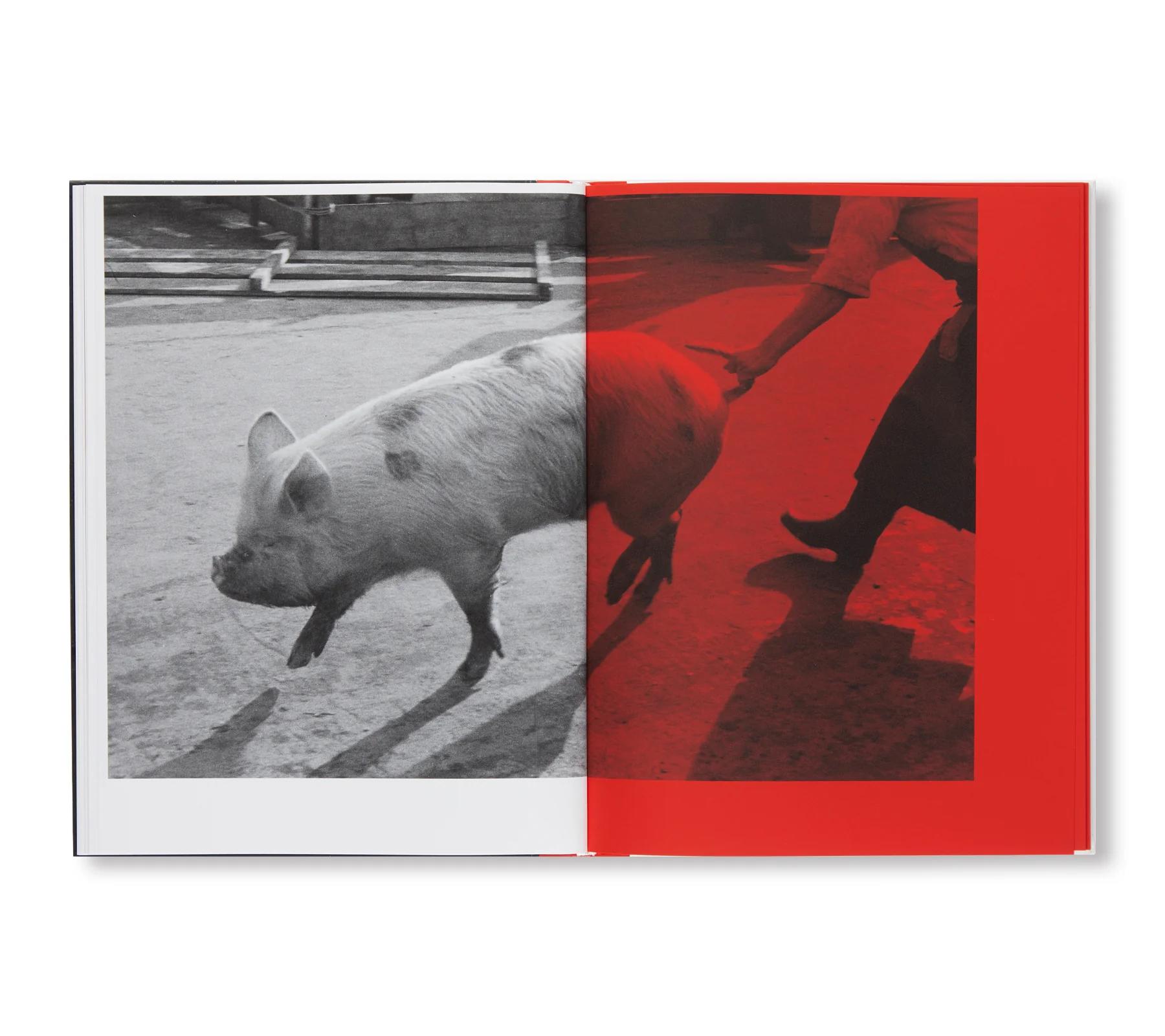 &quot;KILL THE PIG&quot; by Masahisa Fukase