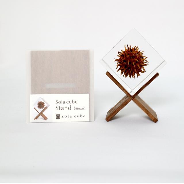 Sola cube stand (brown) Display stand