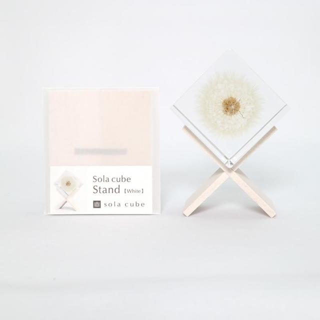 Sola cube stand (white) Display stand