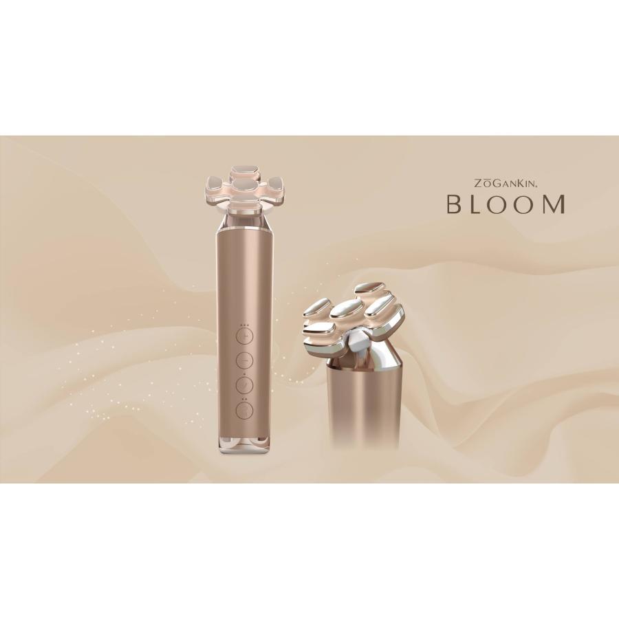 Couleur Lab ZOGANKIN BLOOM