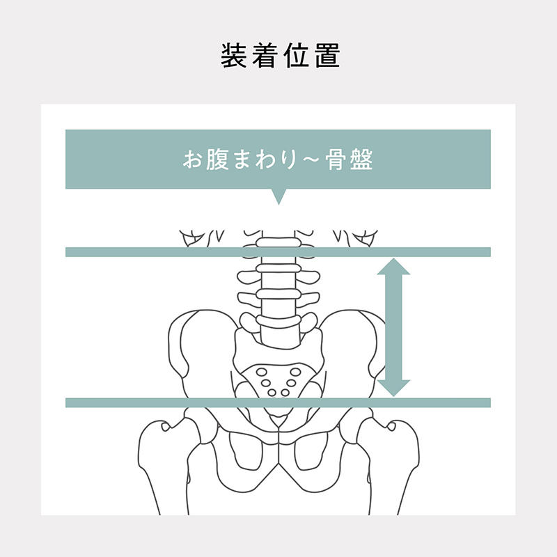 Style Lumbar Active (スタイル ランバー アクティブ) 姿勢サポート YS-BG-03A