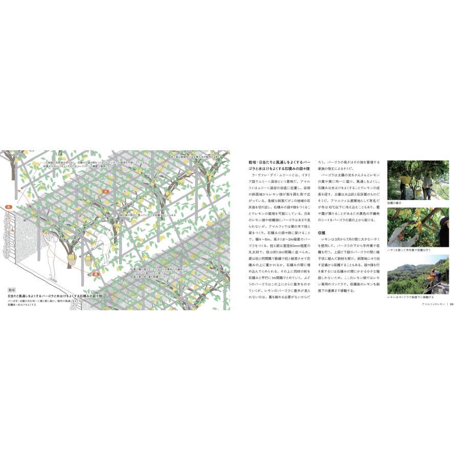 &quot;Foodscape: Illustrated Guide to Architecture and Landscape Made by Food&quot; by Tomoki Shoda, published by Gakugei Publishing