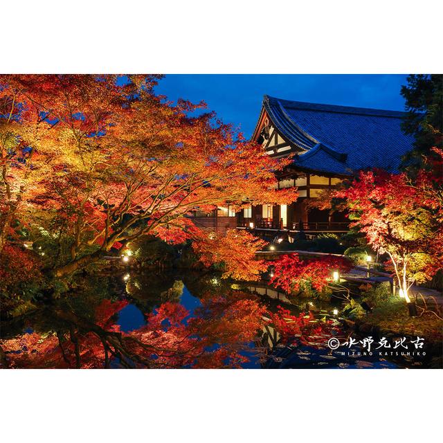 [Signed] "Konkai-Komyoji Temple: Autumn Leaves at Night".