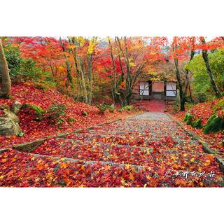 【サイン入り】「常寂光寺：紅葉」.