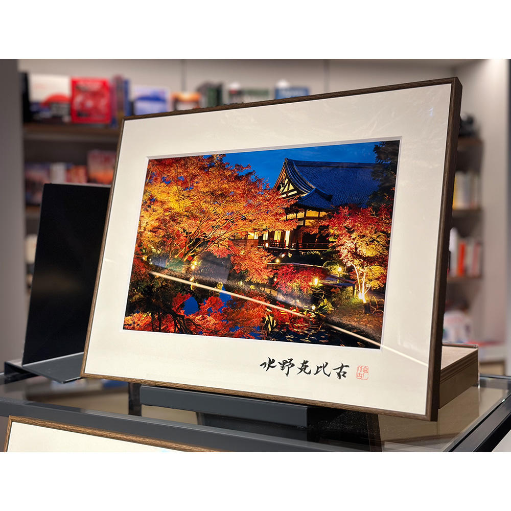 [Signed] "Konkai-Komyoji Temple: Autumn Leaves at Night".