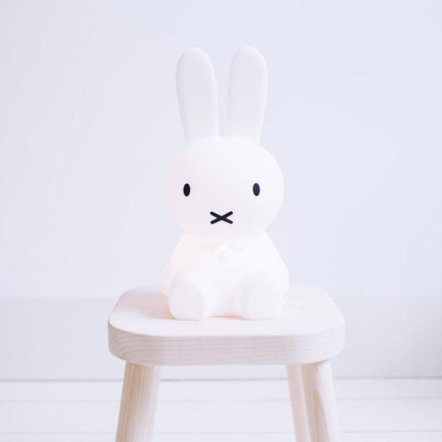 First Light miffy&friends / Miffy