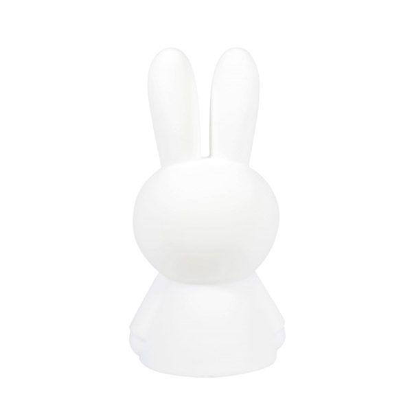 First Light miffy&friends / Miffy