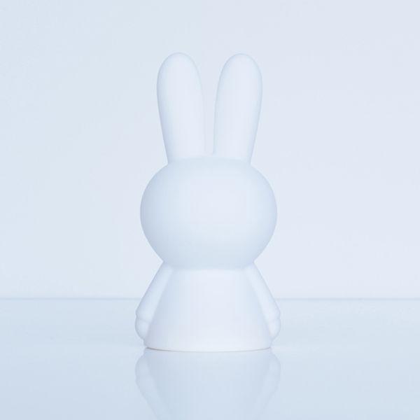 miffy MrMaria Bundle of Light / Miffy