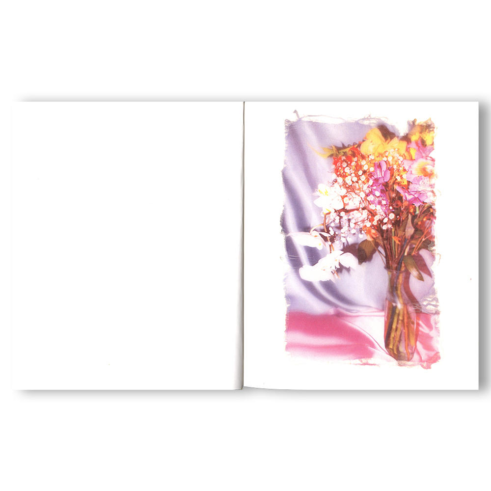 [Limited to 750 copies / Signed postcard included] Swaying Flowers Photobook by Fumika Endo