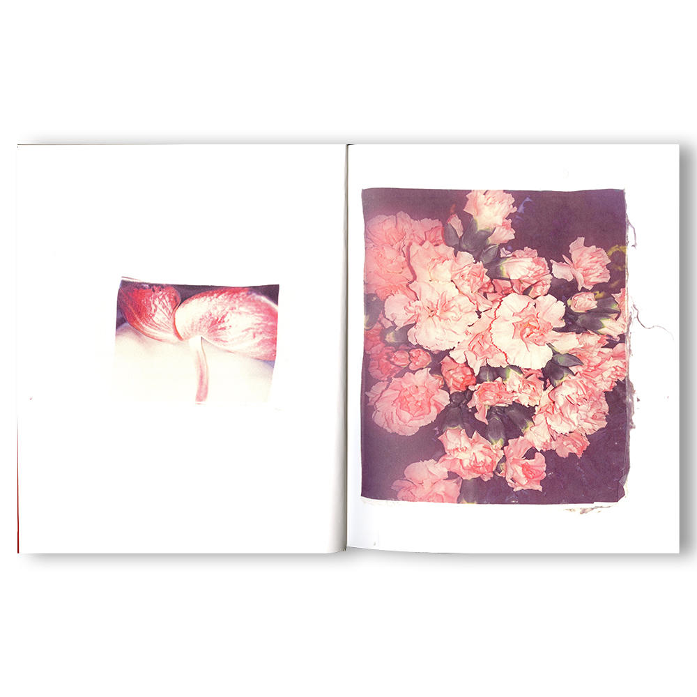 [Limited to 750 copies / Signed postcard included] Swaying Flowers Photobook by Fumika Endo