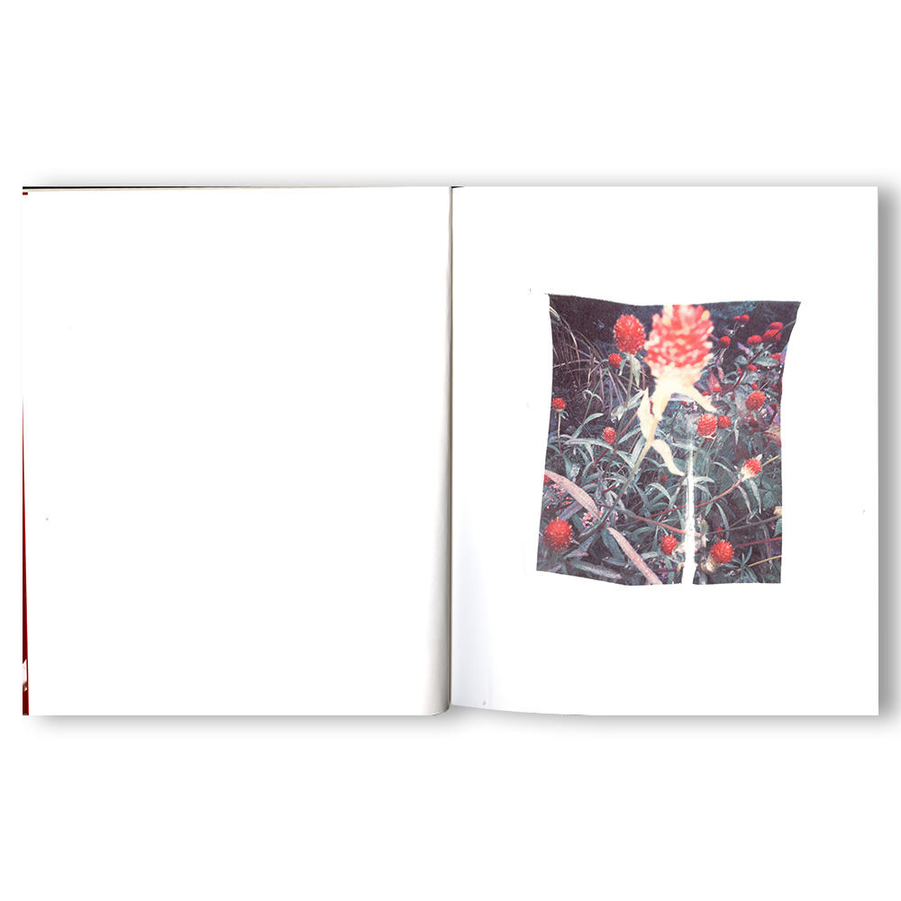 [Limited to 750 copies / Signed postcard included] Swaying Flowers Photobook by Fumika Endo