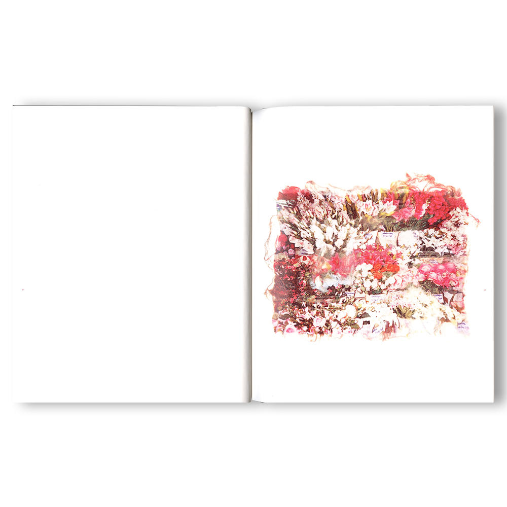 [Limited to 750 copies / Signed postcard included] Swaying Flowers Photobook by Fumika Endo