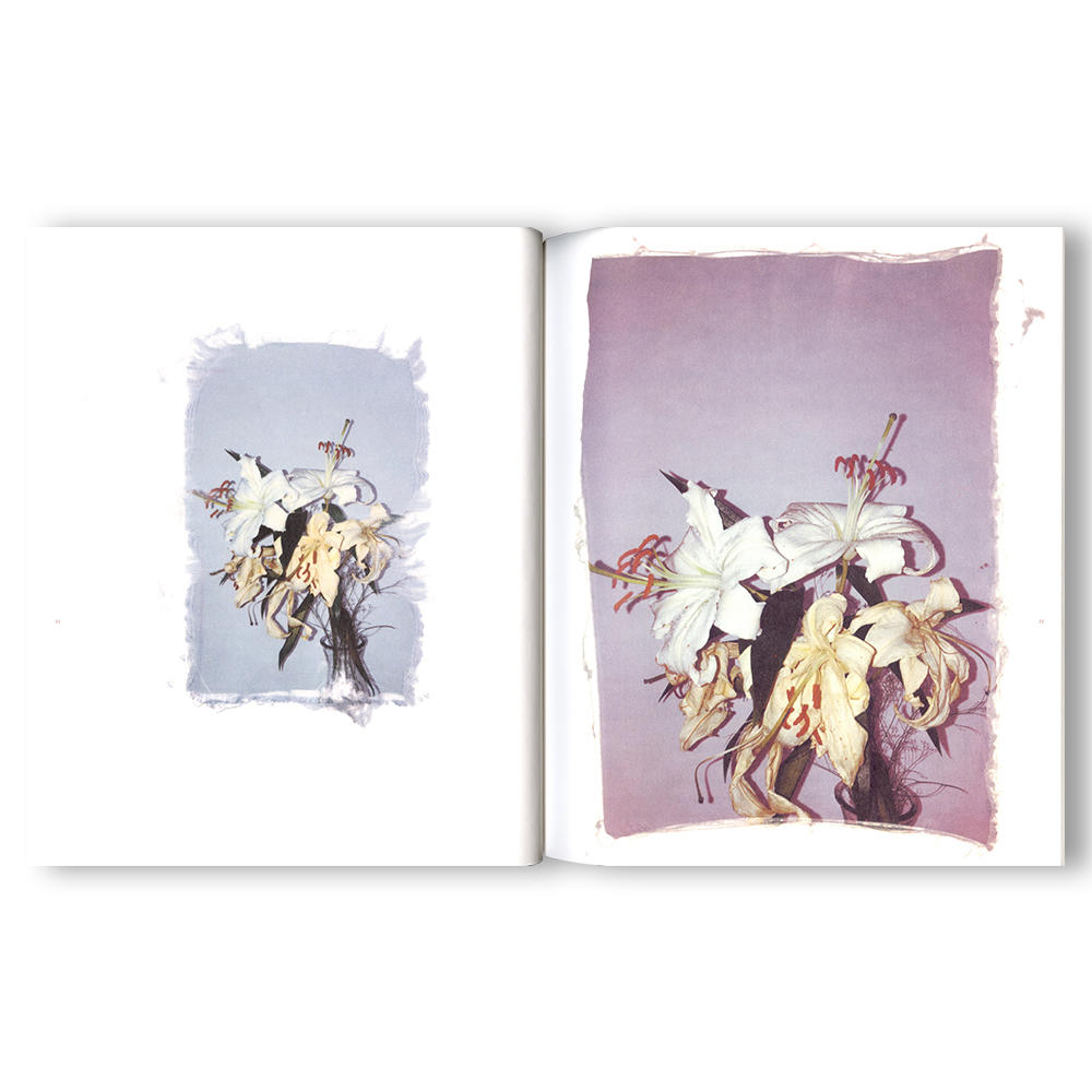 [Limited to 750 copies / Signed postcard included] Swaying Flowers Photobook by Fumika Endo