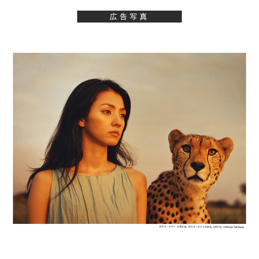 Mikiya Takimoto Works 1998-2023　瀧本幹也 写真集