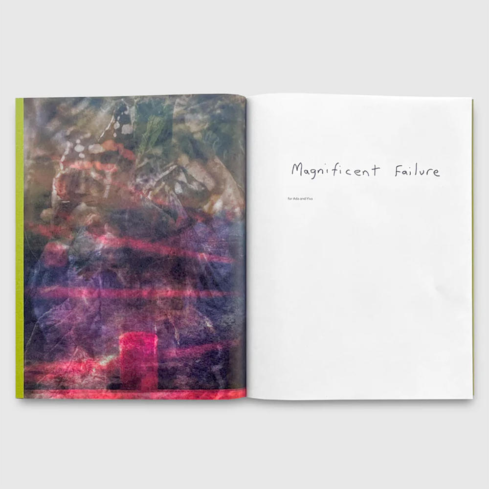 [Limited to 750 copies] Magnificent Failure by Stephen Gill Stephen Gill Photobook