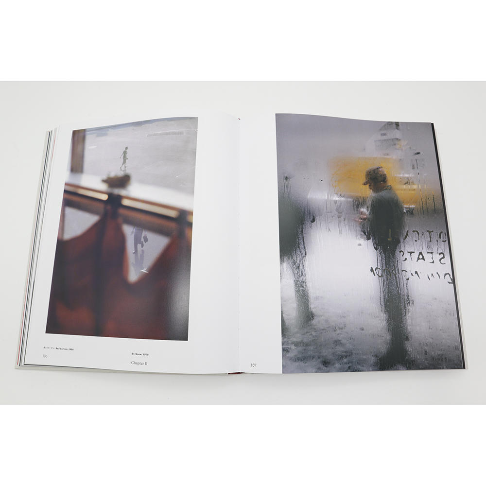 The Centennial Retrospective ソール・ライター（Saul Leiter）　写真集