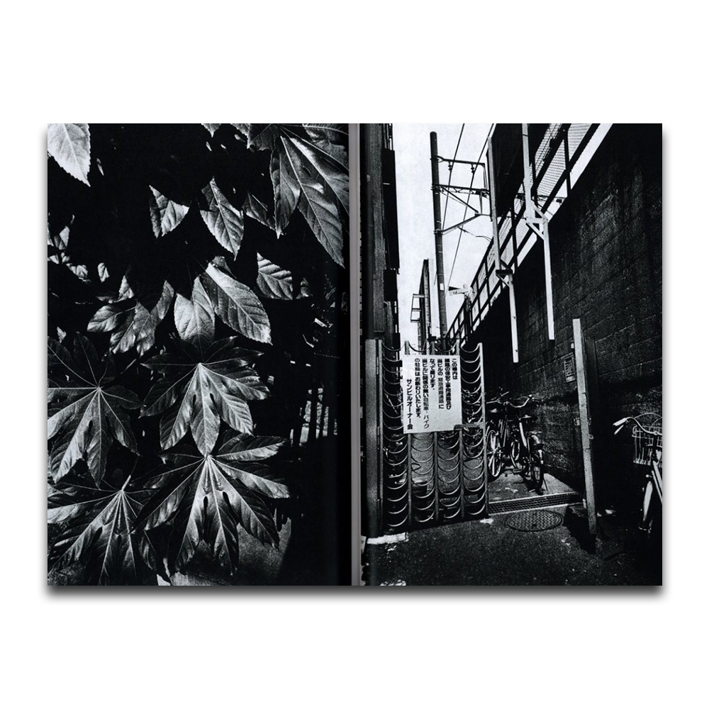 [Signed & Numbered] TOKYO 1992 Daido Moriyama