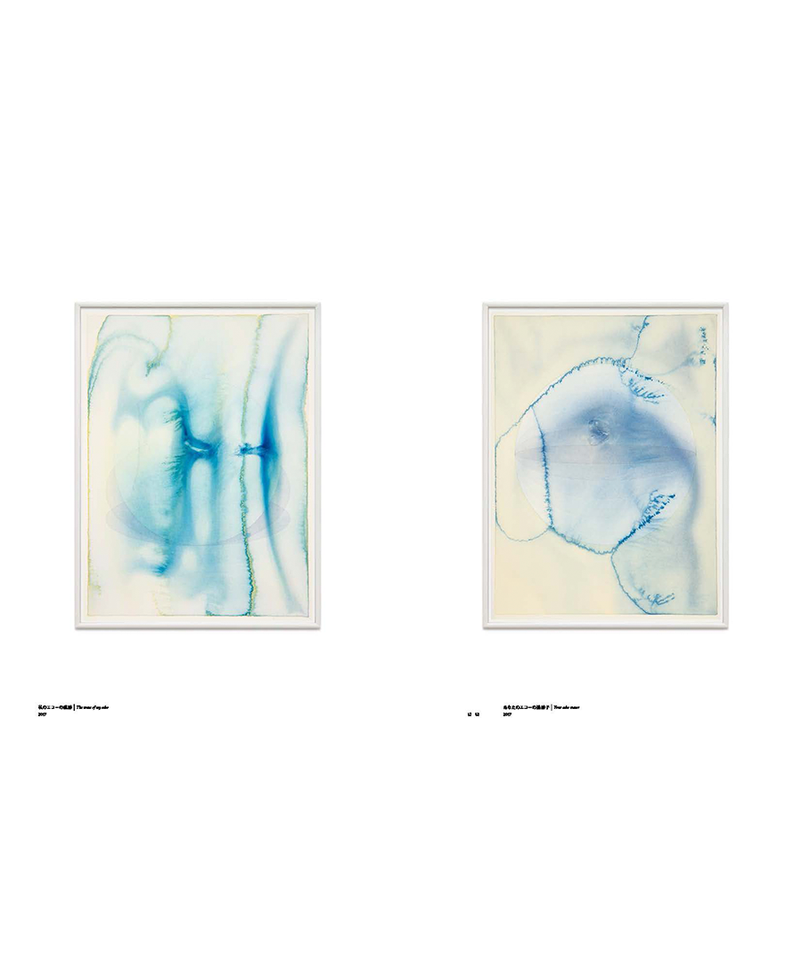 Olafur Eliasson : A harmonious cycle of interconnected nows オラファー・エリアソン　展覧会ブックレット