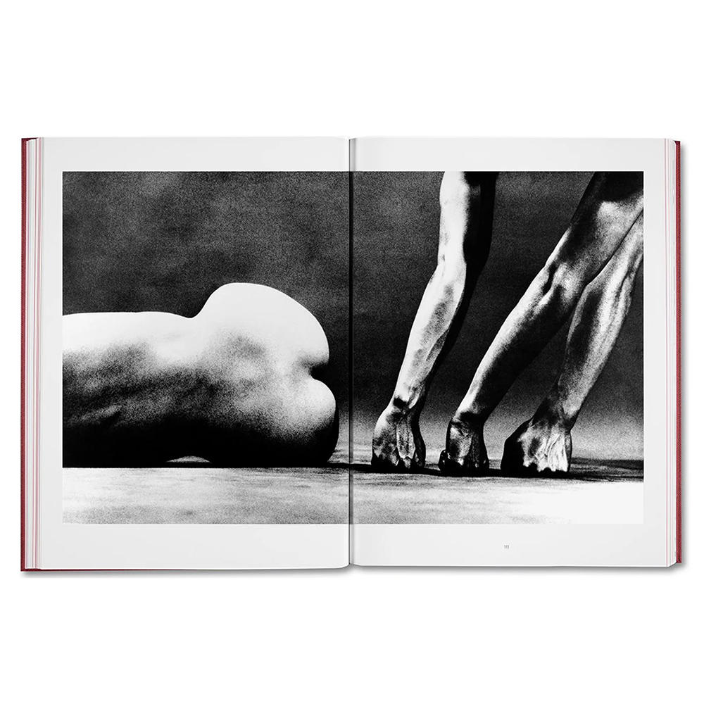 EIKOH HOSOE by Yasufumi Nakamori [JAPANESE EDITION] Eiko Hosoe Photo Collection